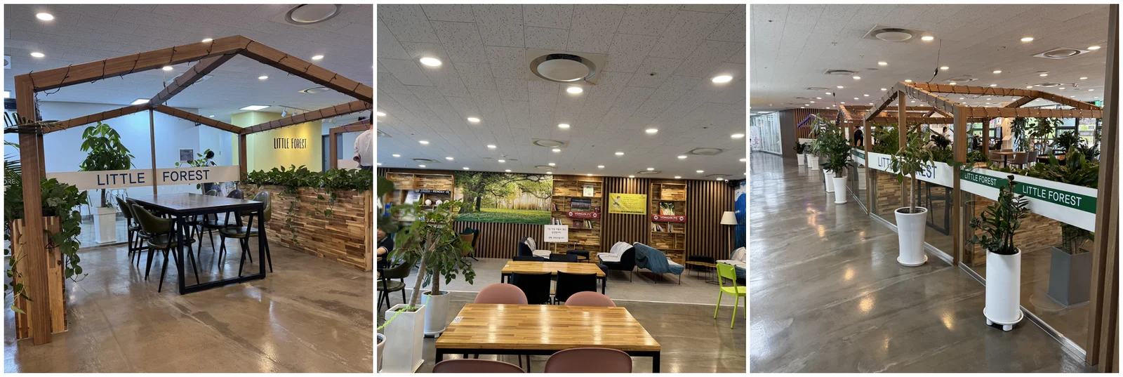 매장 좌석, 베이커리 진열대, 우드 파고라 좌석 전경