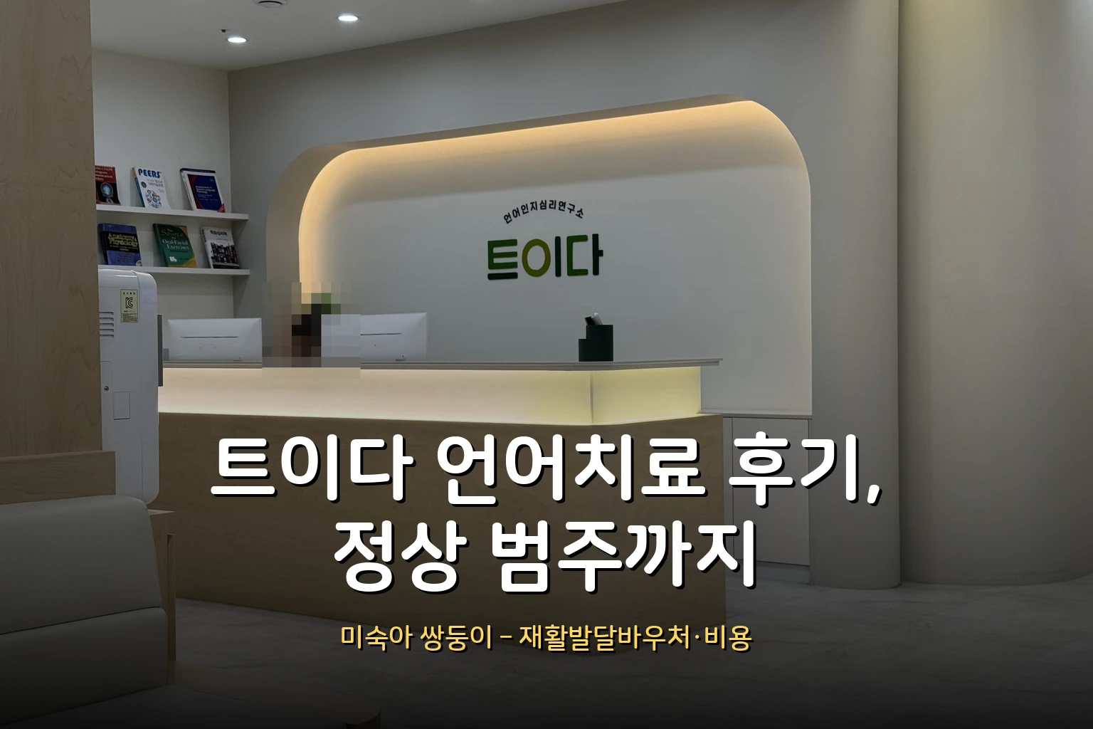 트이다 언어치료 후기 – 미숙아 쌍둥이, 발달지연부터 정상 범주까지 (재활발달바우처 신청·비용)
