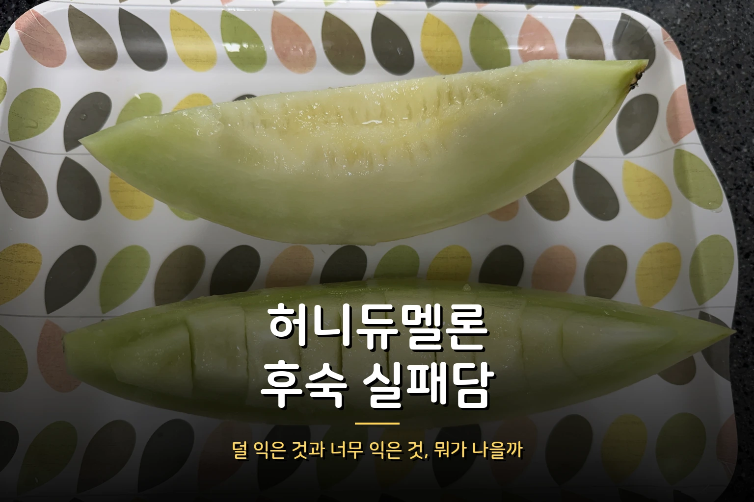 허니듀멜론 자르는 법과 후숙 실패담 – 뭐가 더 나을까