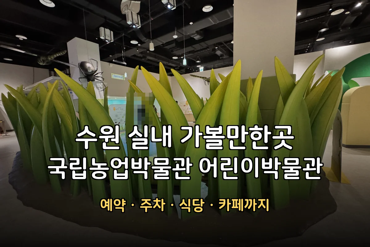 수원 국립농업박물관 어린이박물관 예약·주차·관람시간 총정리 (전시·식당·카페 후기)