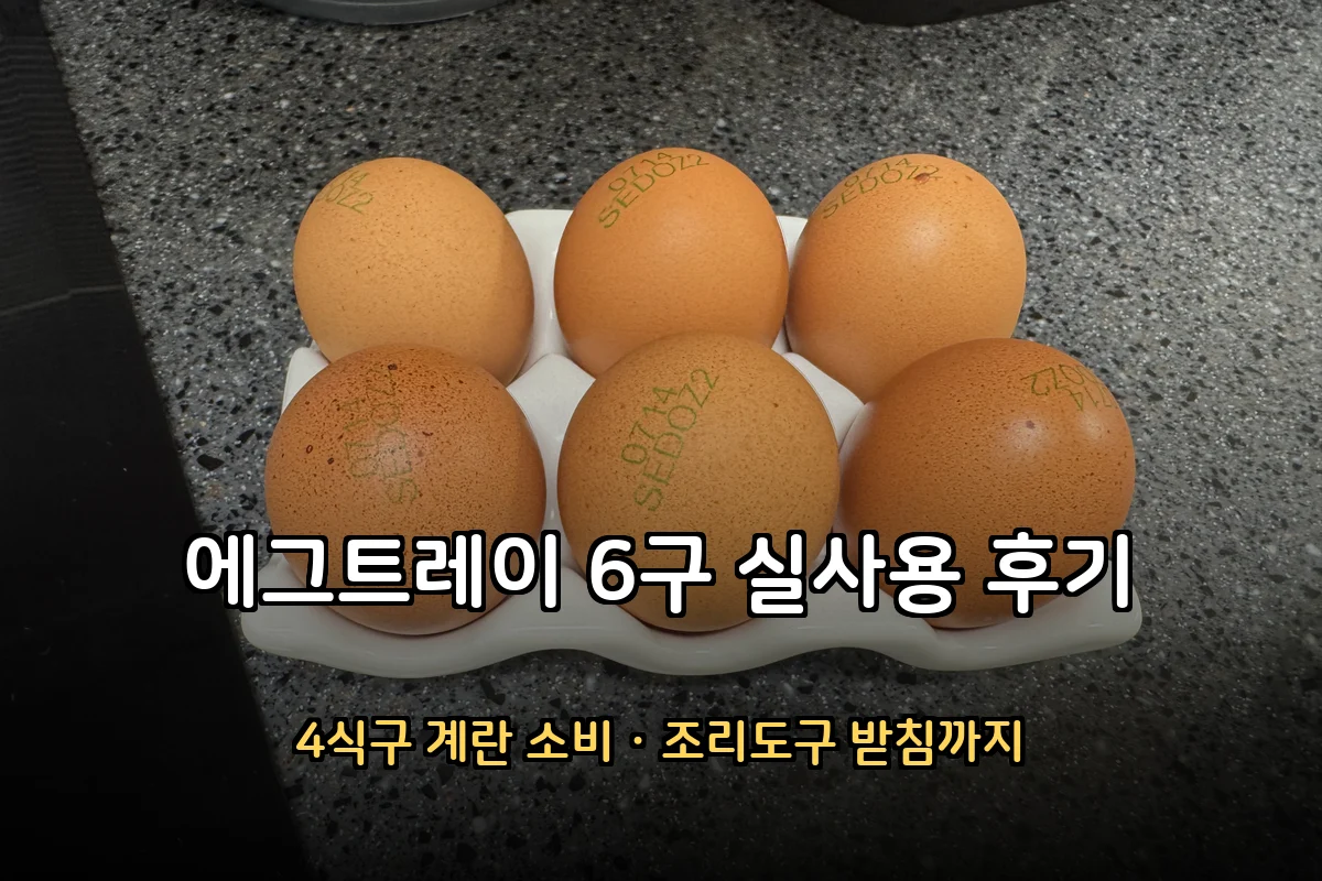 에그트레이 후기 – 6구 실사용, 계란 정리·조리도구 받침 (다용도 활용)