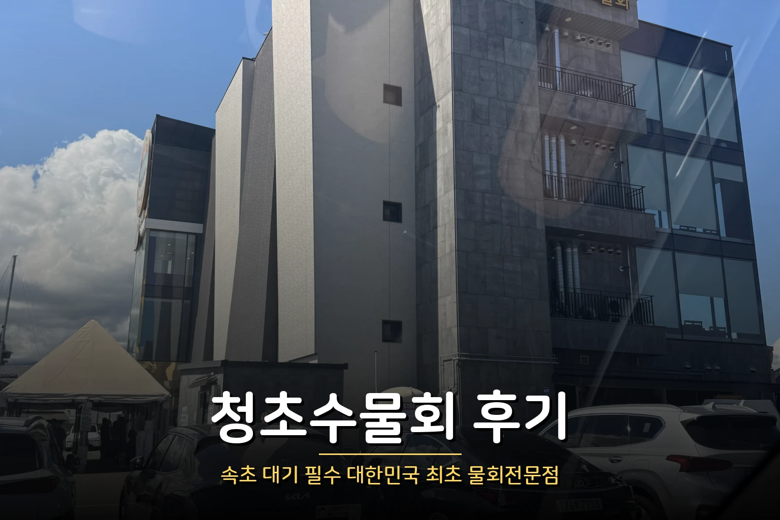 청초수물회 후기 – 대기 필수 속초 물회 맛집
