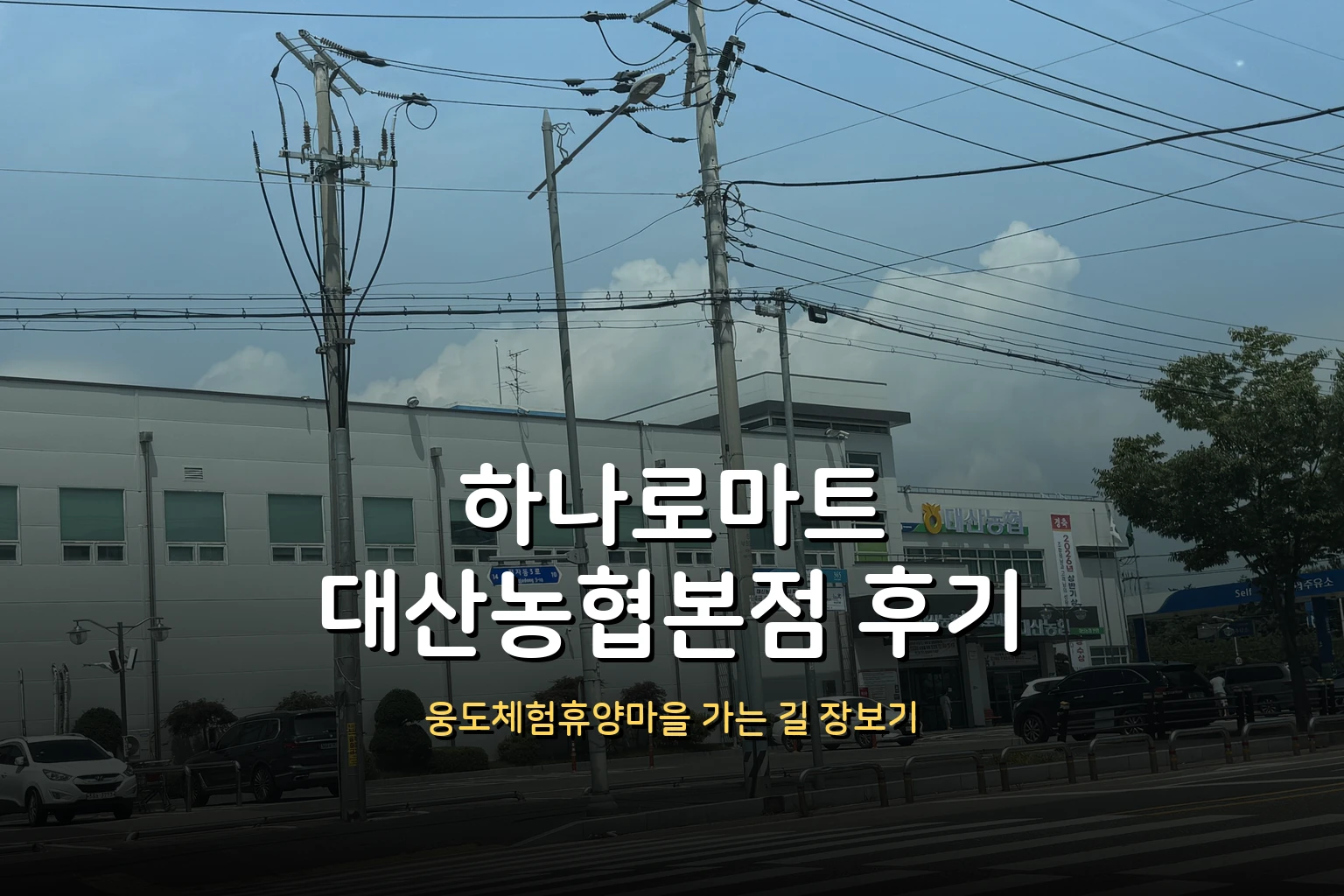 하나로마트 대산농협본점 후기 – 웅도체험휴양마을 가는 길 장보기, 위치·영업시간