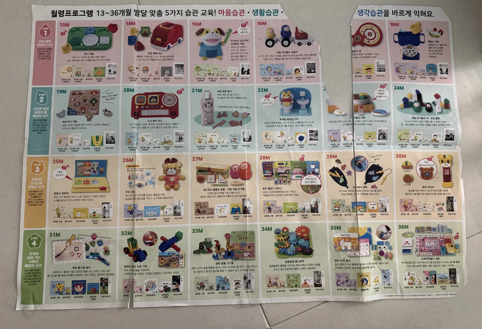 13~36개월 발달 단계가 한눈에 정리된 커리큘럼 포스터